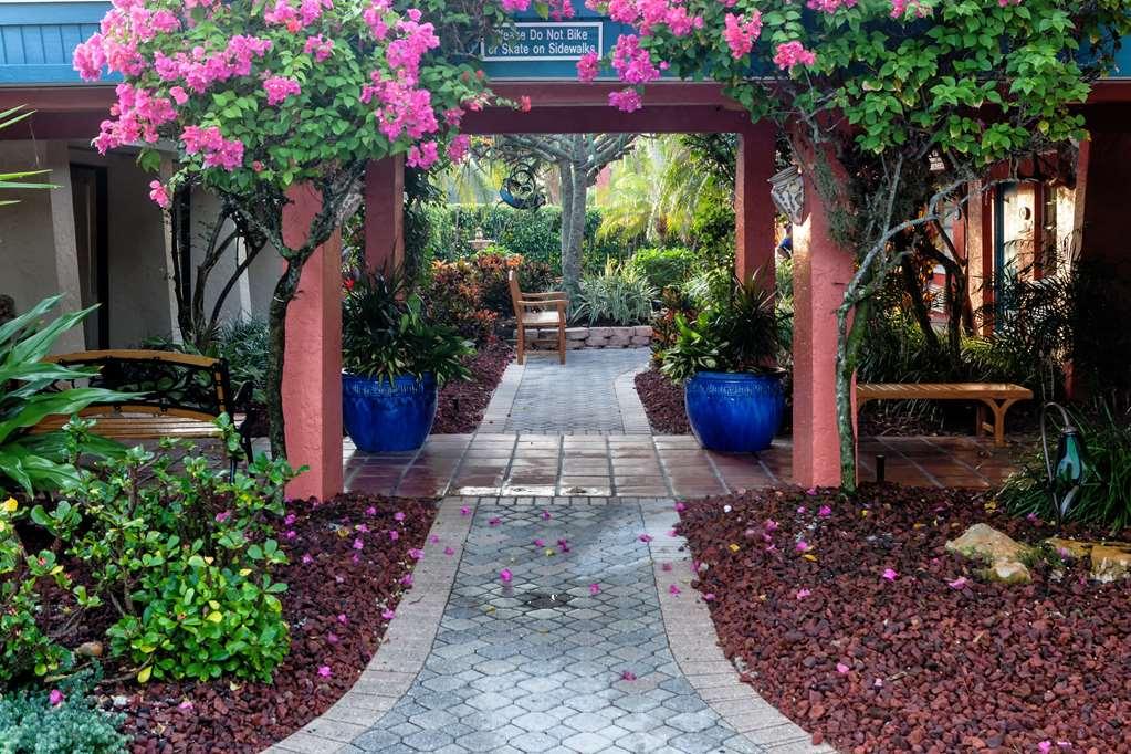 Island Sanibel