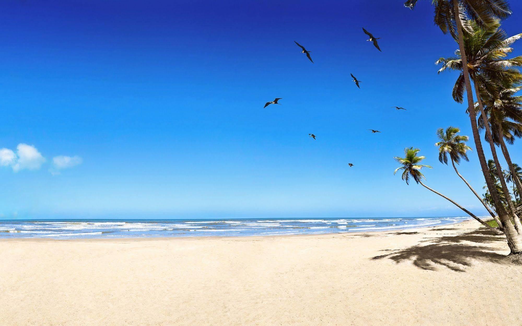 Island